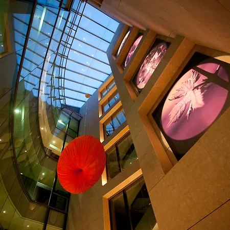 Nexus & Hotel Valladolid