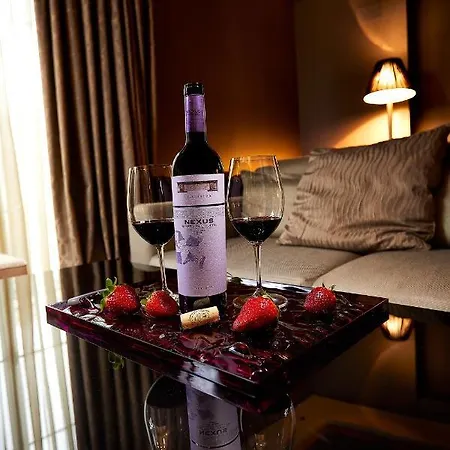 Nexus Suites&hotel Valladolid
