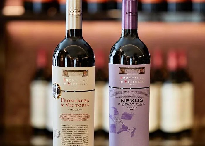 Szálloda Nexus & Valladolid